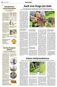 Kauf Lokal Fr&uuml;hjahr 2026